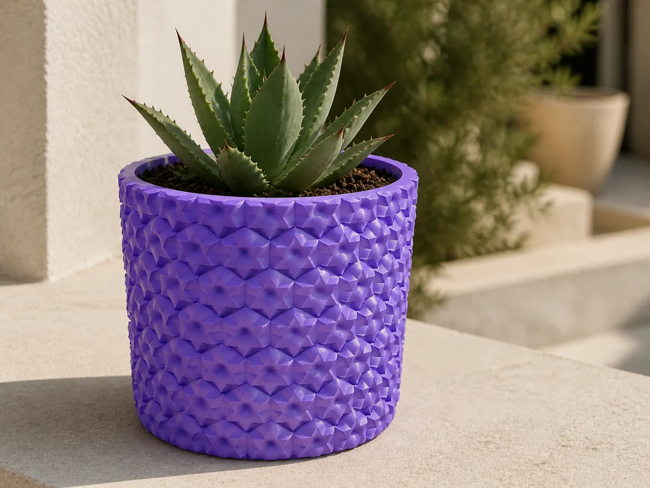 Purple diamond-lattice planter holding a succulent