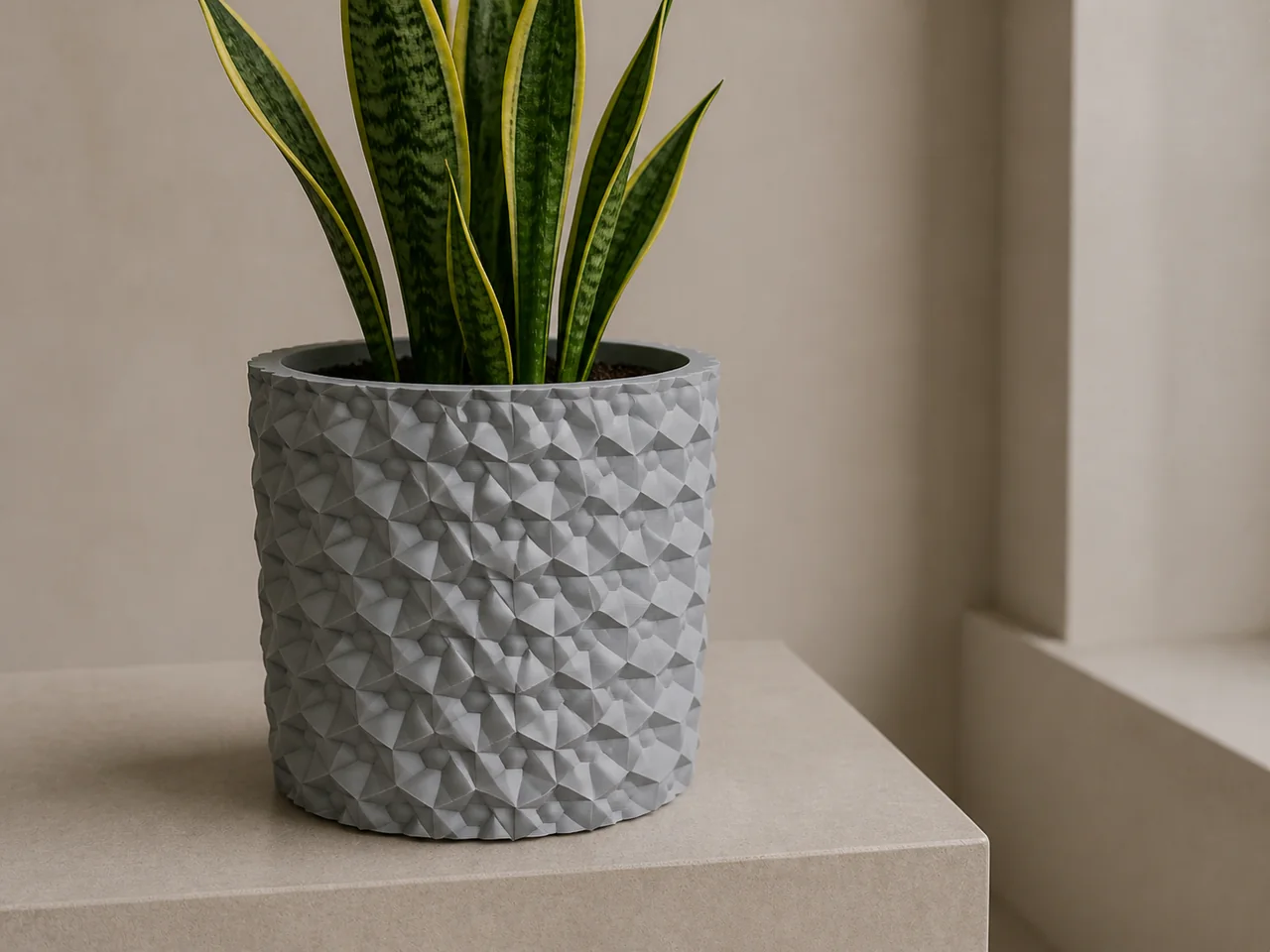 Gray faceted planter holding a snake plant